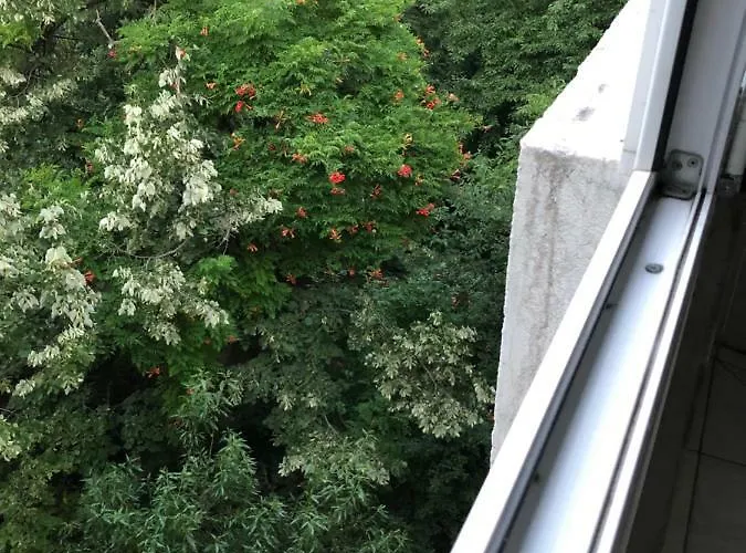 アパート Lotus *